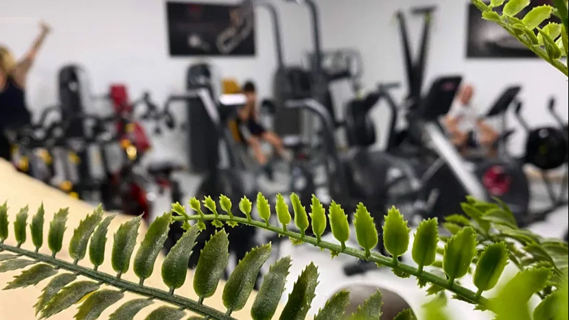 Sporfit 84 - photo 1