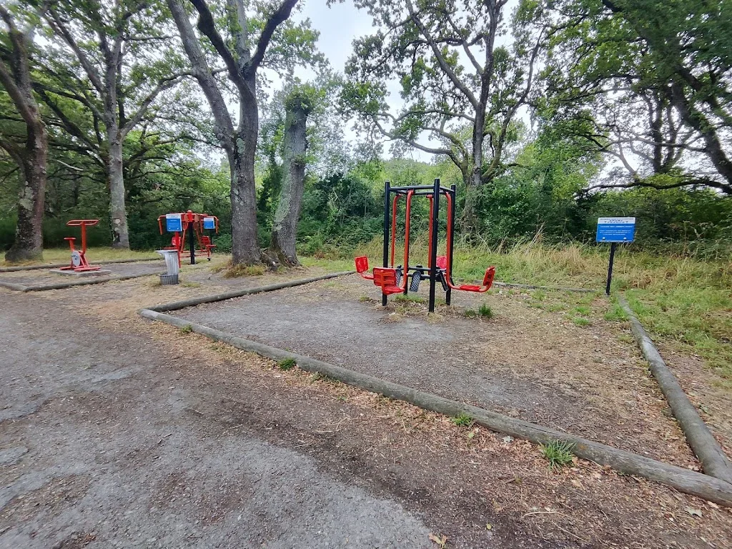 Sport Place 2 - photo 1