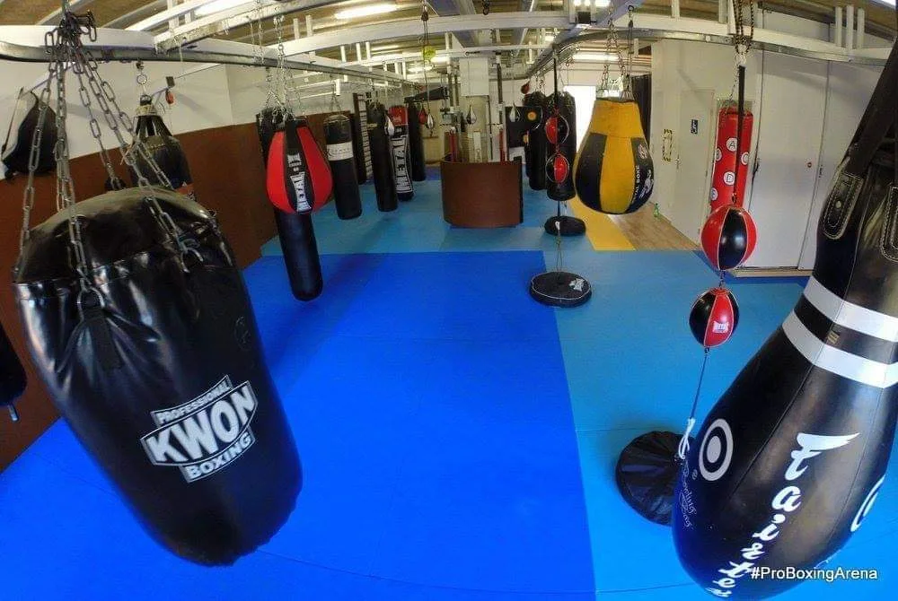 Pro Boxing Arena