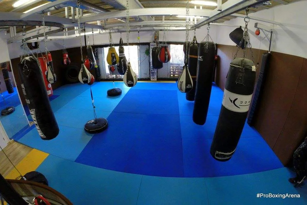 Pro Boxing Arena - photo 2