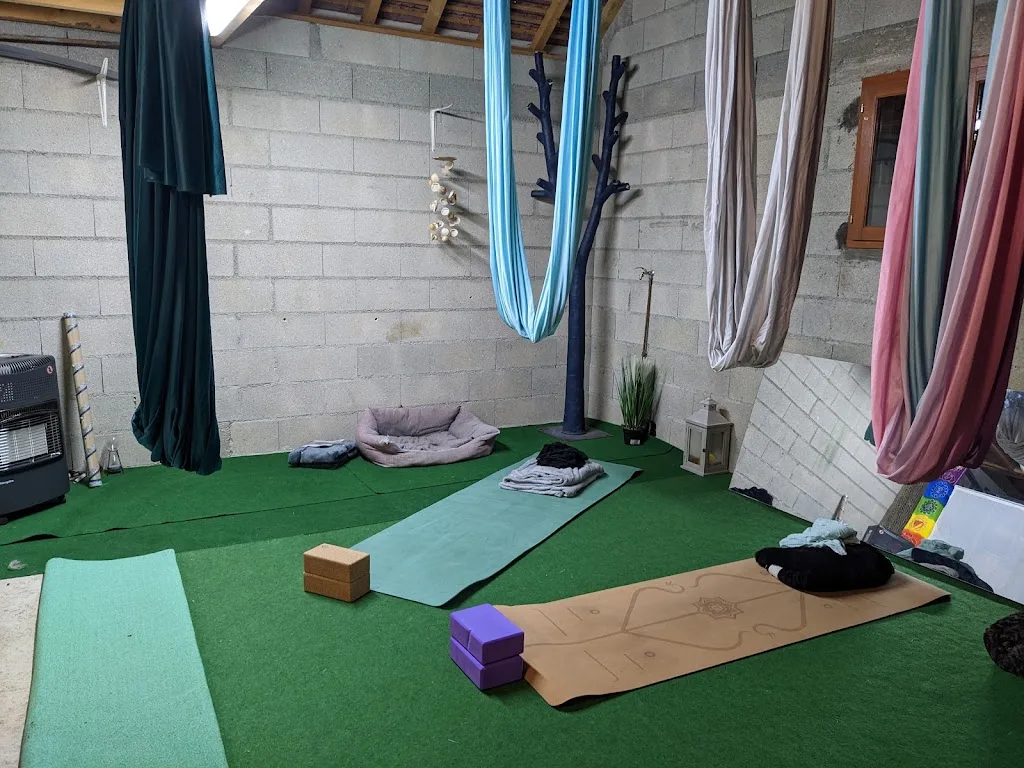 MyGraal Yoga Aérien - photo 2