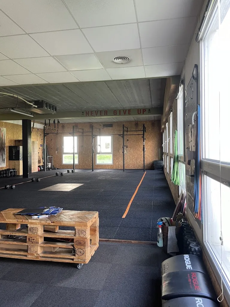 Crossfit Viridius - photo 3