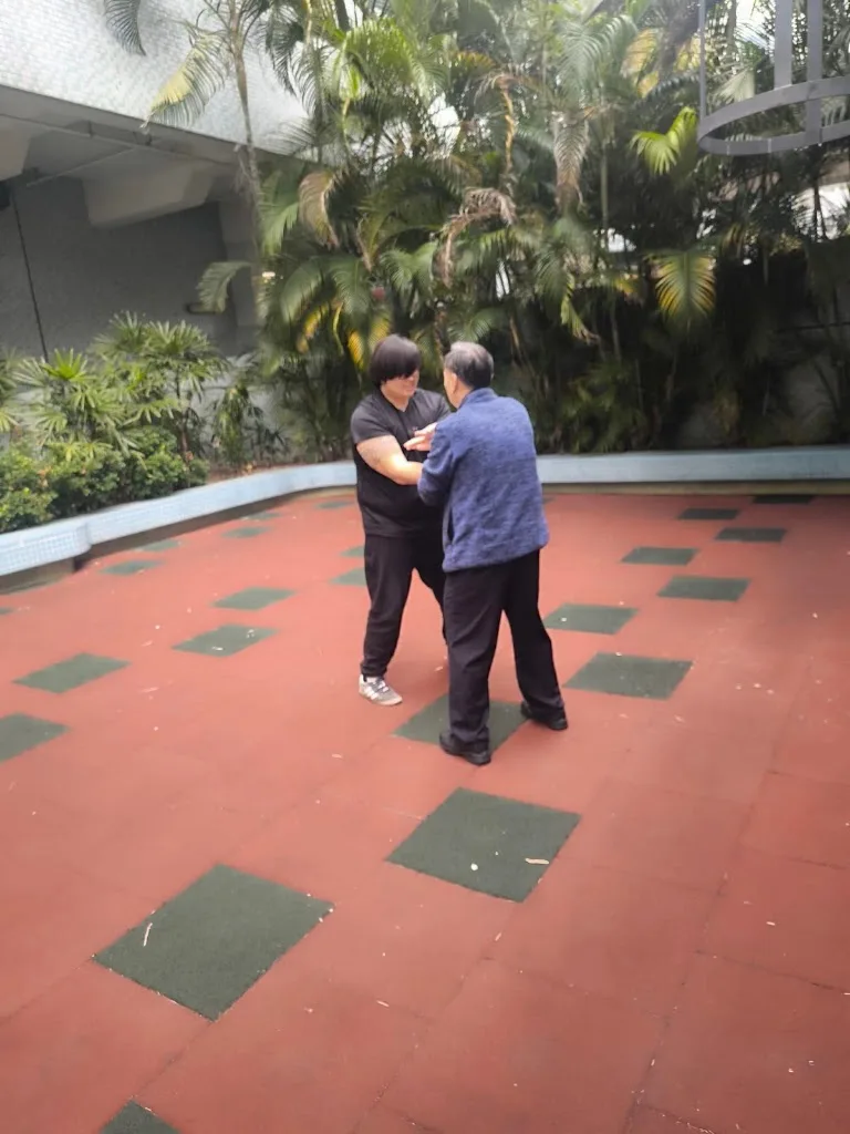 Wing chun kung fu Team LKH - photo 1