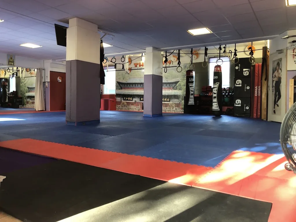 Centre Thiêu Lâm, Sport Santé et Arts Martiaux - photo 1