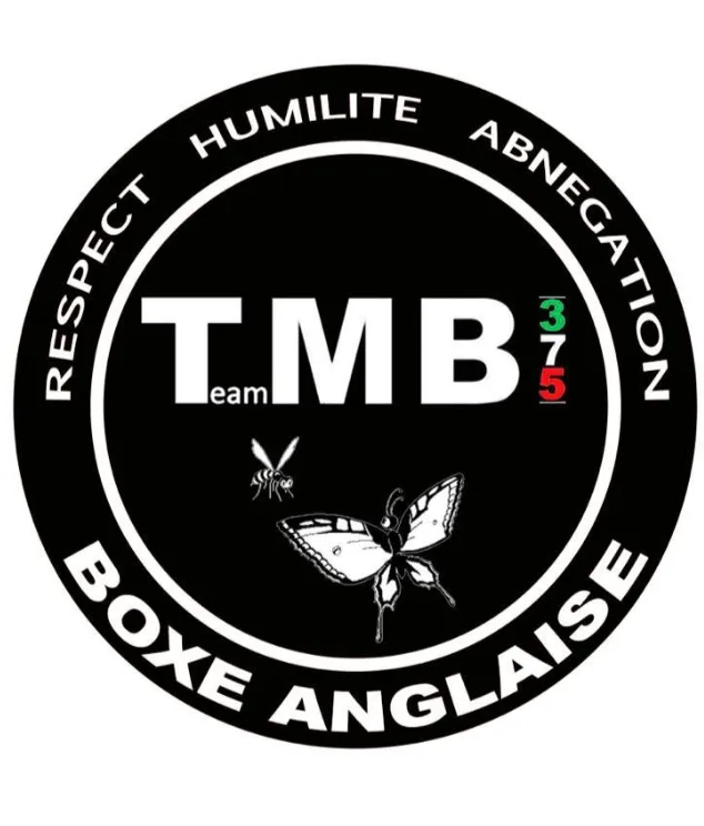 Team MB 375 - photo 1