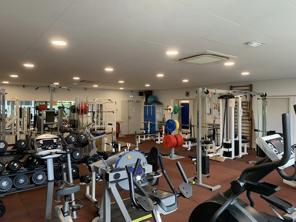 Gymneo - photo 1