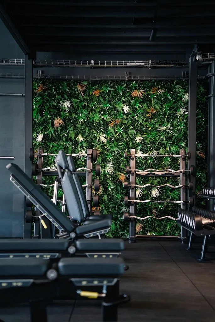 VENICEGYM LA FARLEDE - photo 2
