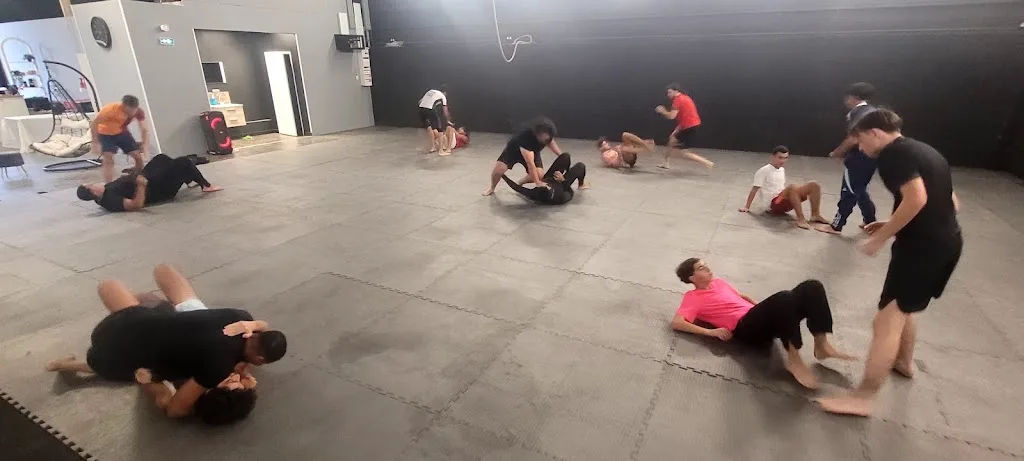 PLUS ULTRA MMA - photo 2