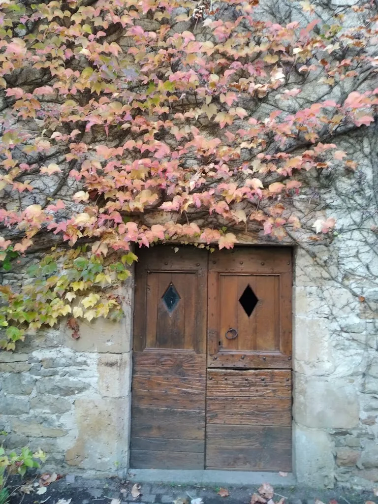 Padma Yoga - Salle de Yoga - photo 1