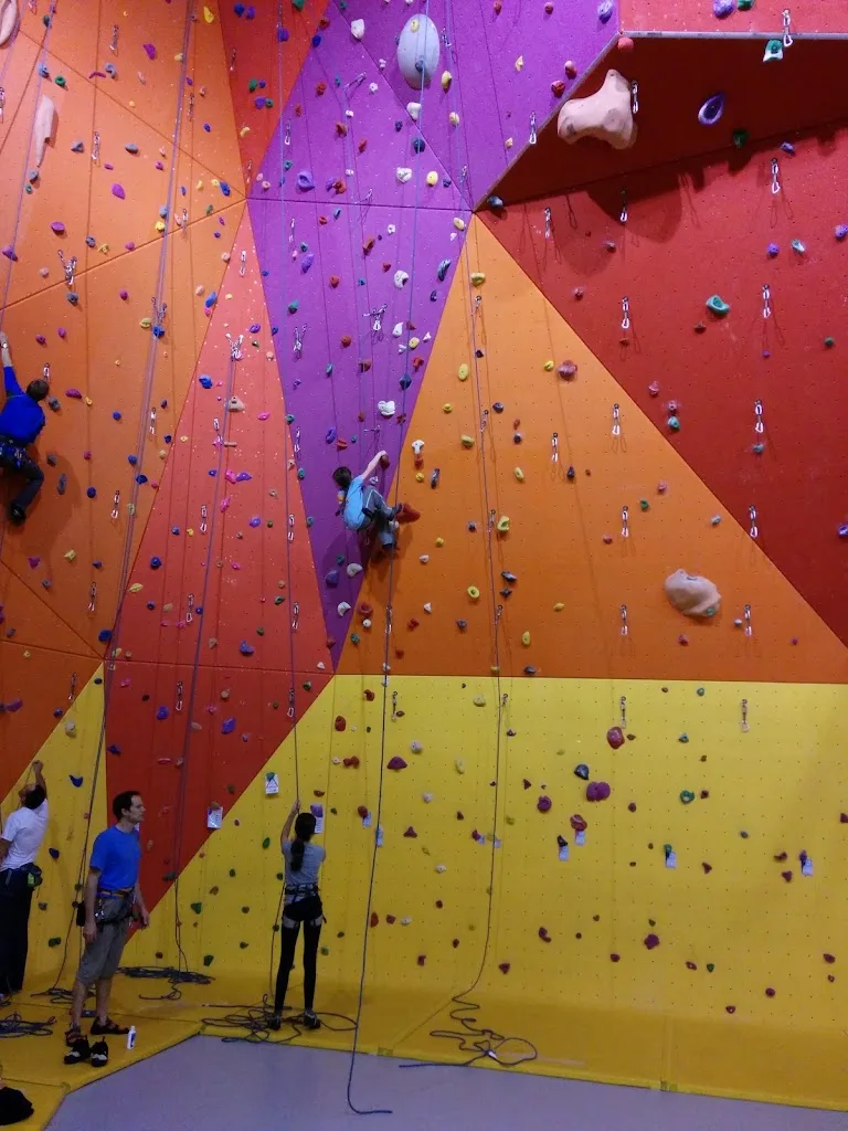 Gymnase St Martin du Var - photo 3