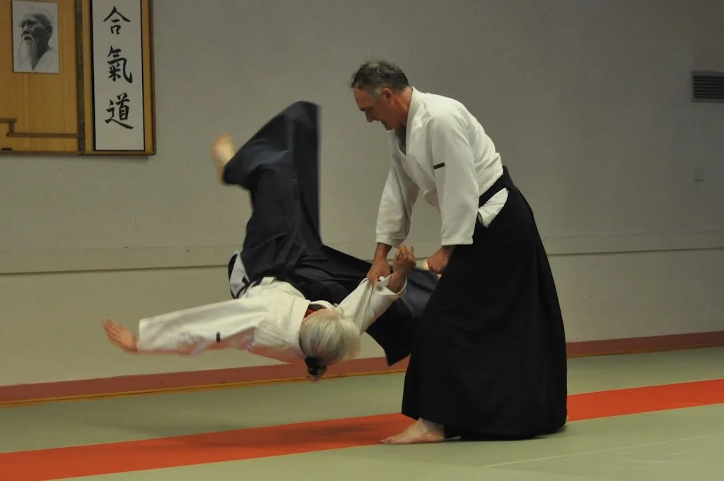 Aïkido Brocéliande Club - photo 2