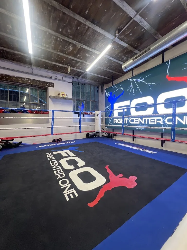 FIGHT CENTER ONE - photo 1