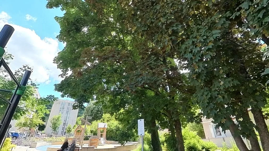 Street Workout - photo 3