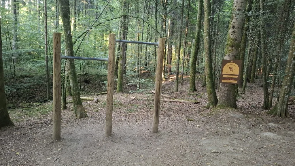 Barres des tractions - photo 1