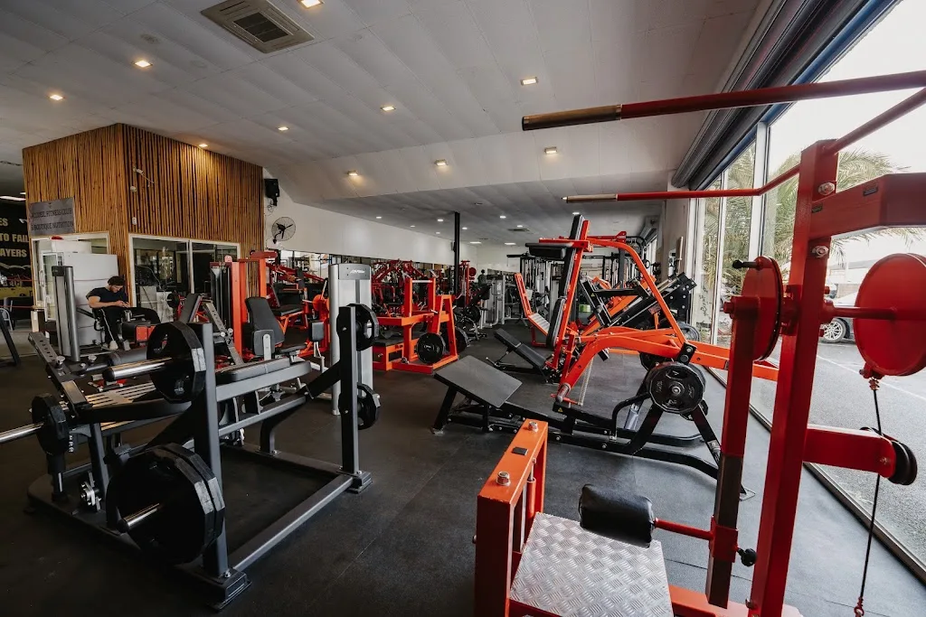 Damalis Le Club - photo 1
