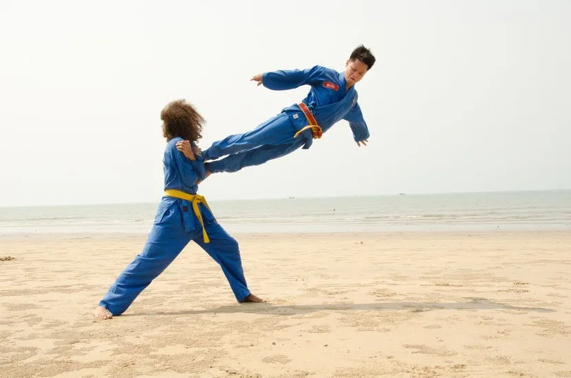 Vovinam Viet Vo Dao Les Lilas - photo 3