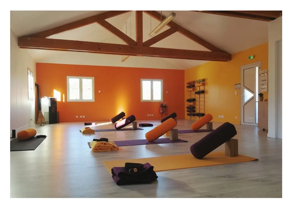 Vert d'eau STUDIO - photo 1