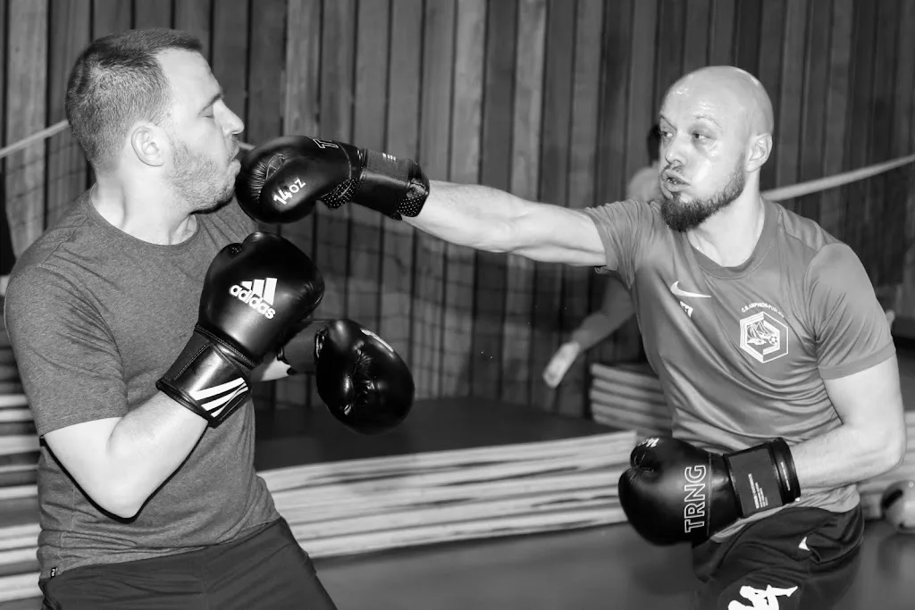 AMERICAN FULL FIGHTING BONS EN CHABLAIS - photo 2