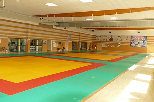 Sainte Geneviève Sports - photo 1