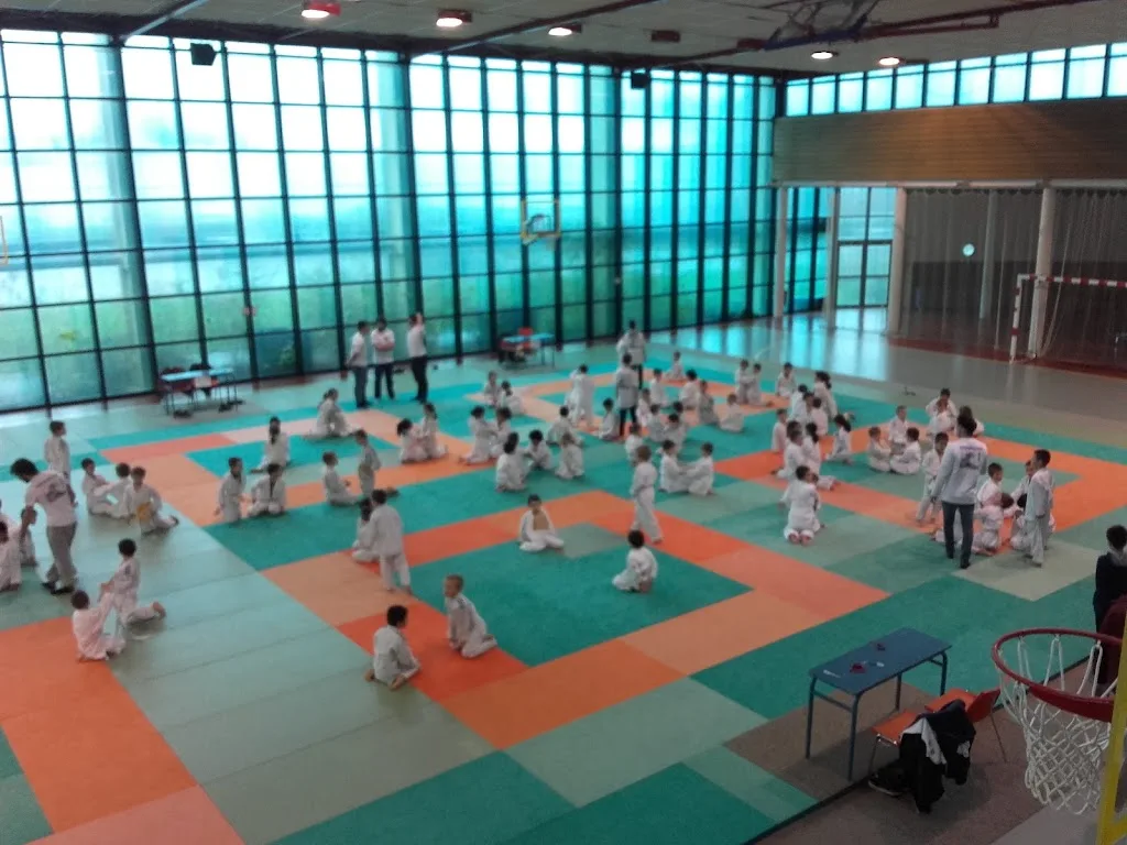 Dojo - photo 2