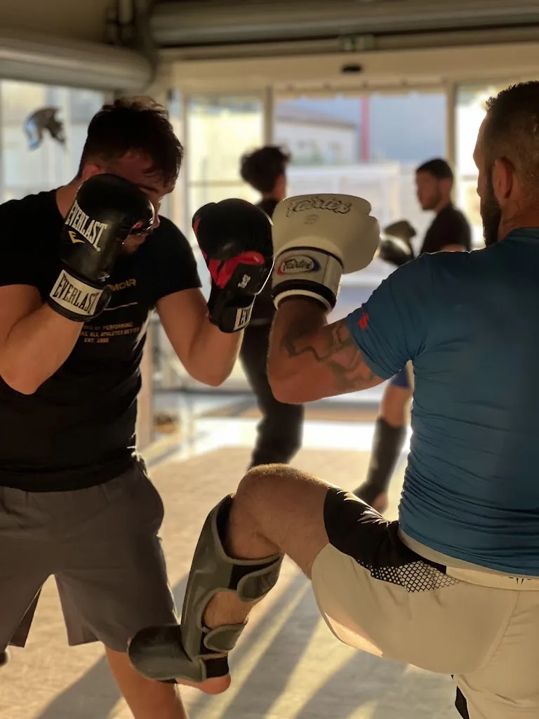 PROFIGHT MMA - photo 1