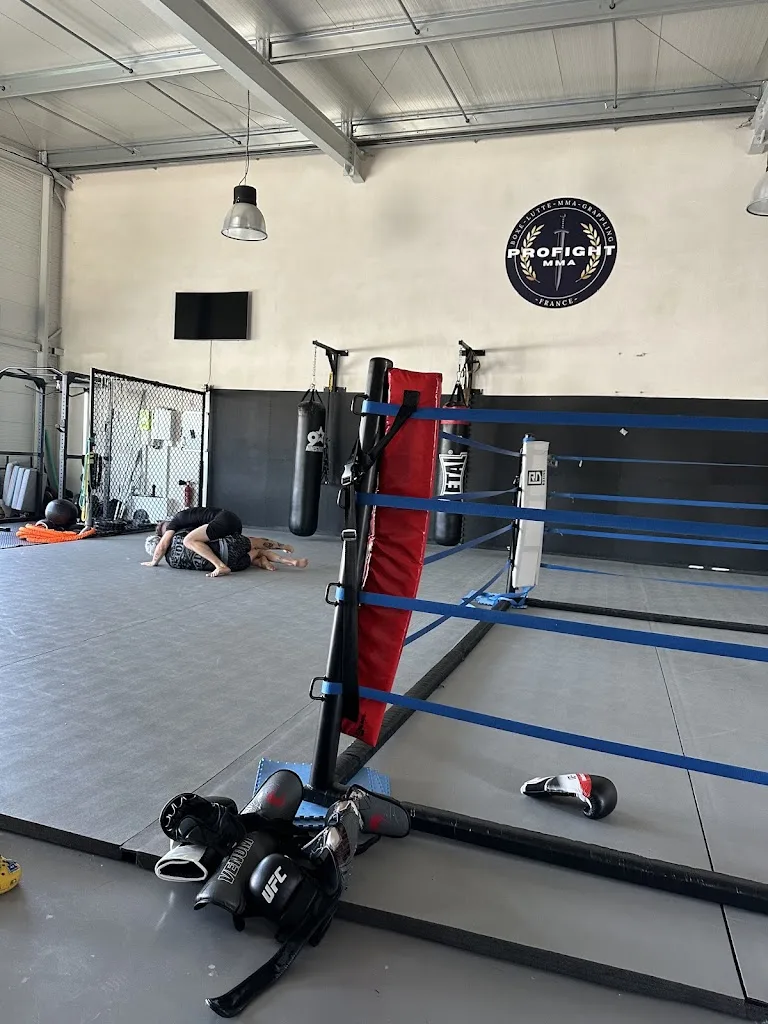 PROFIGHT MMA - photo 2