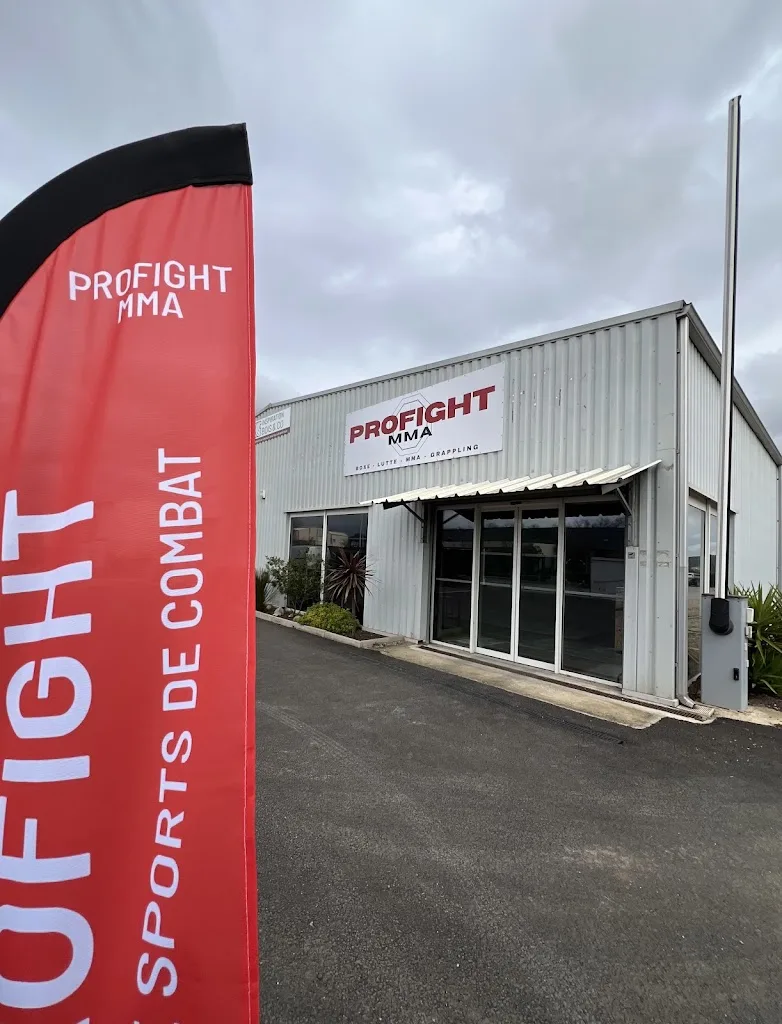 PROFIGHT MMA - photo 3