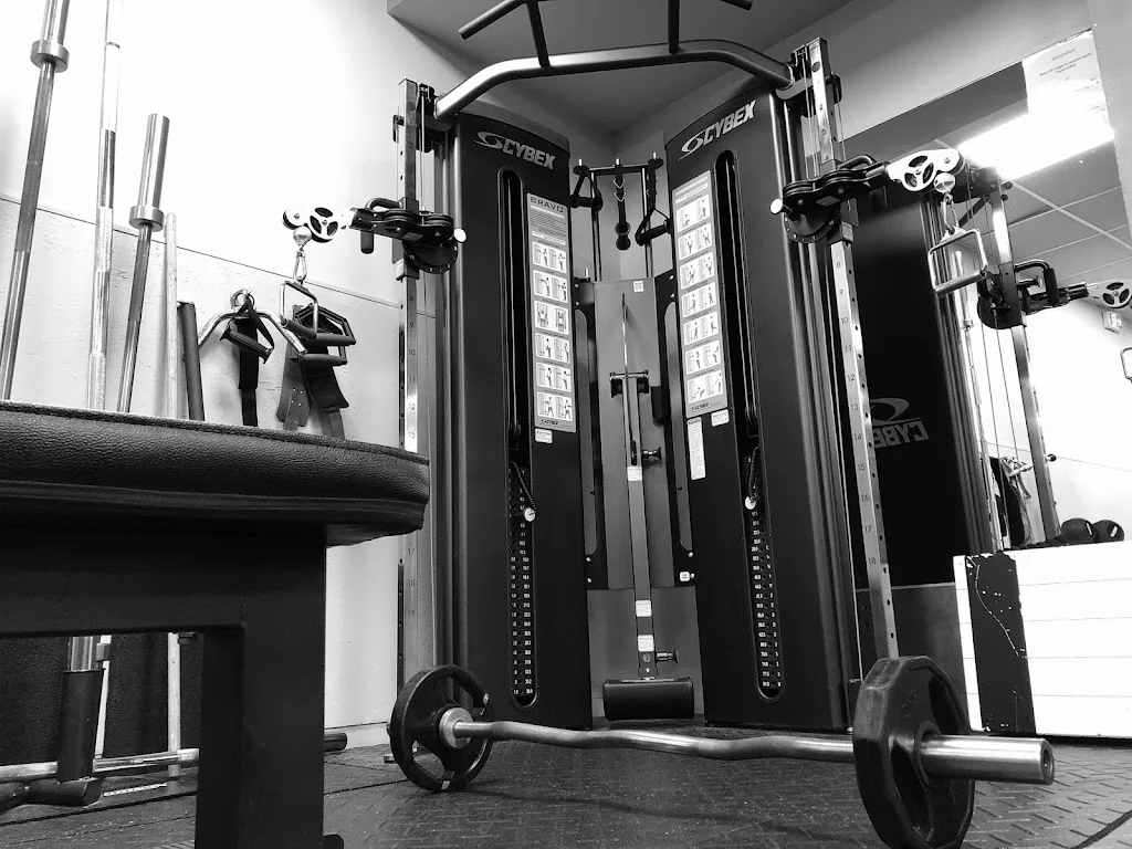 MsFit - photo 2