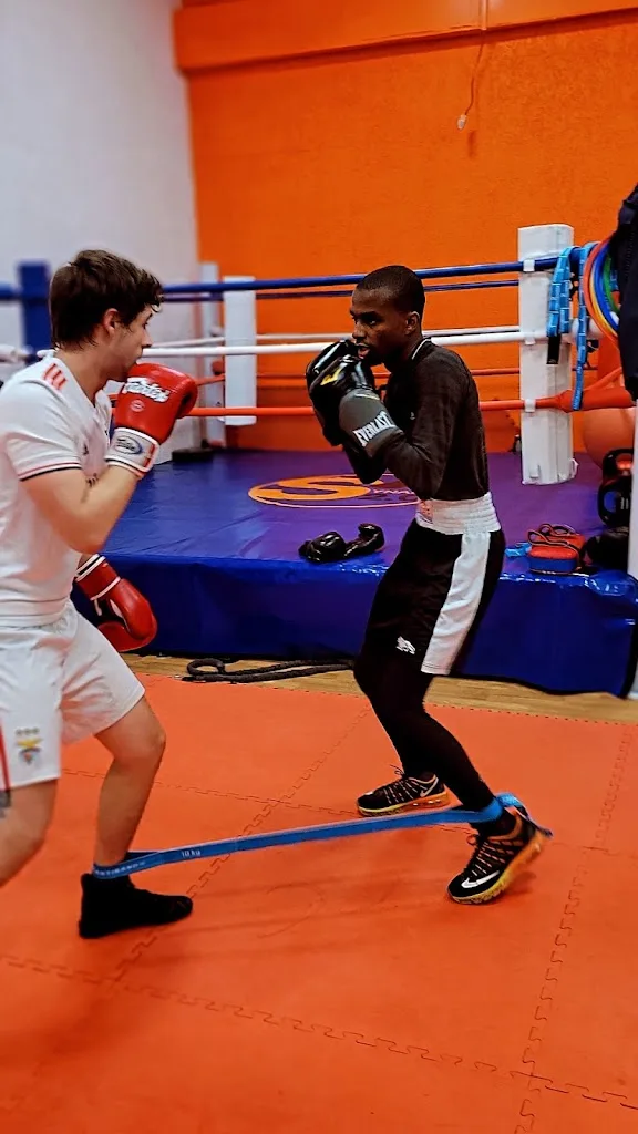 SYNAPSE2.0 BOXING - photo 1