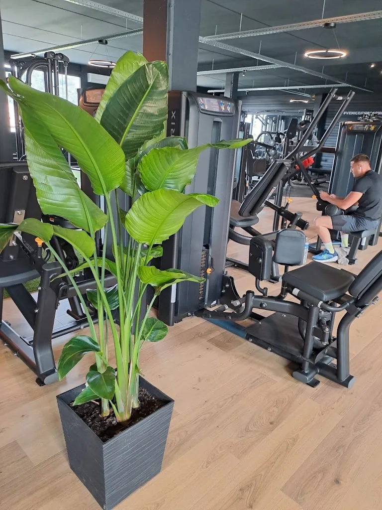 VENICEGYM CARNOULES - photo 1