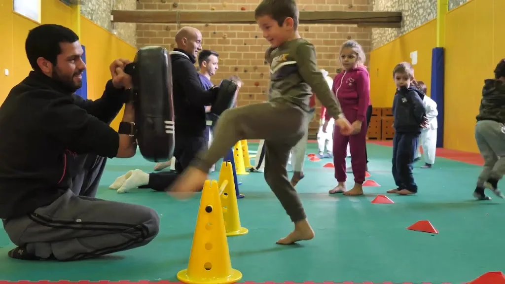 Gaillac Yoseikan Budo - photo 1