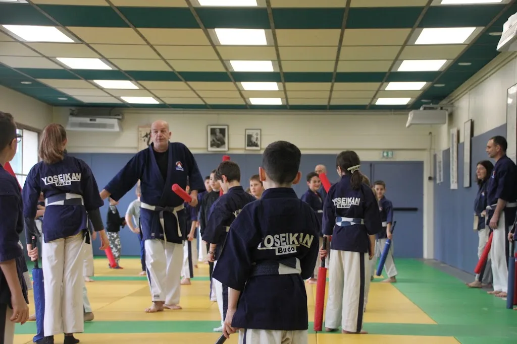 Gaillac Yoseikan Budo - photo 2