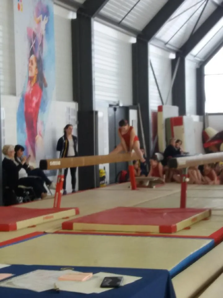 Elan Sportif et Elfes de Limoges - photo 1