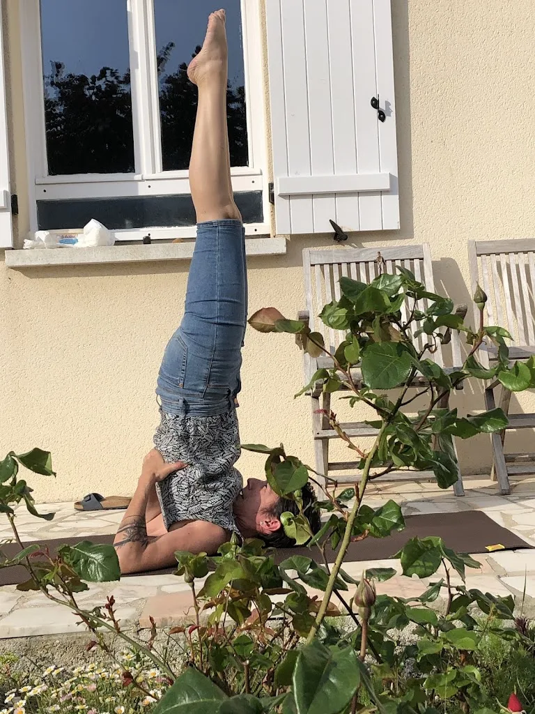 ASANAYOGA Yoga (Hatha) - photo 1