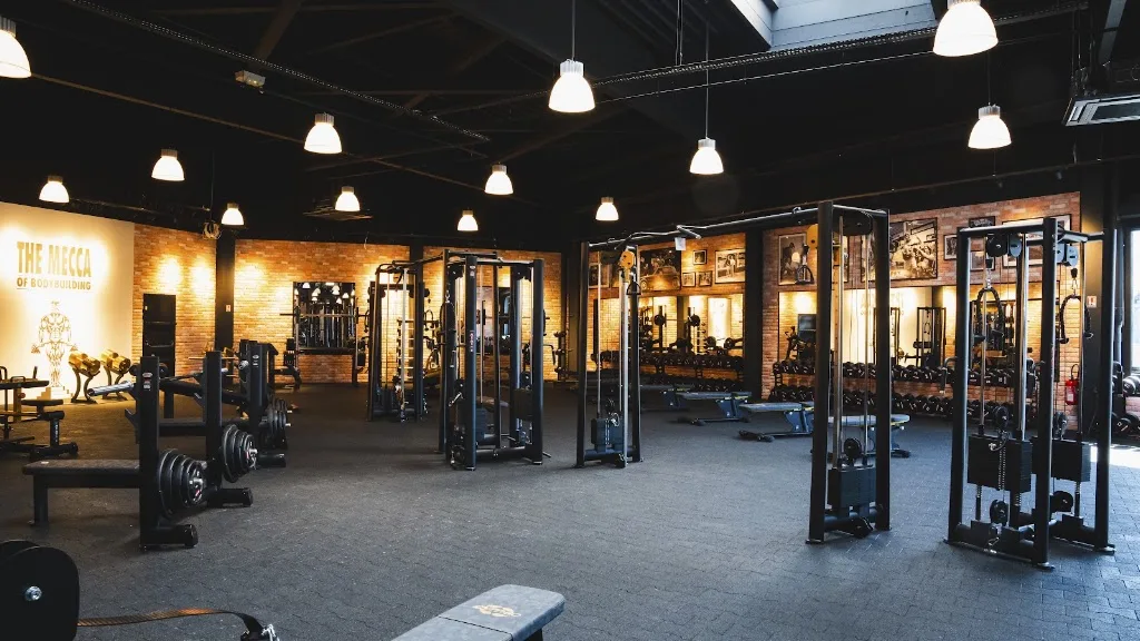 Chameleon Fitness - photo 3