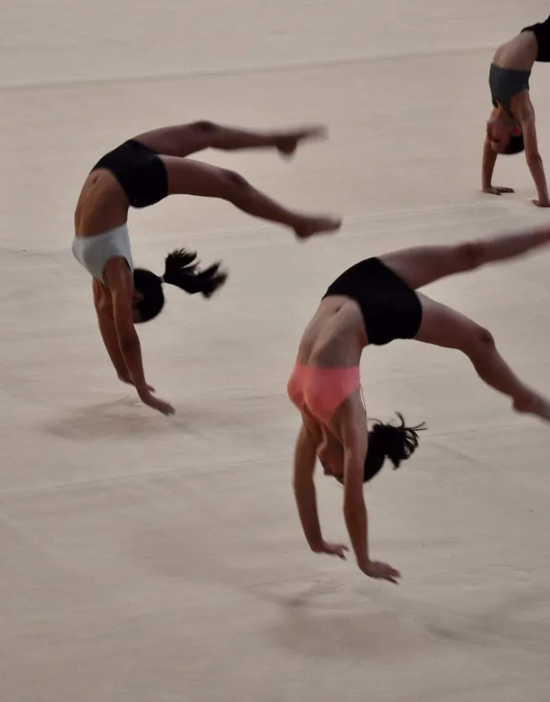 L’Association Gymnique Montredon - photo 2