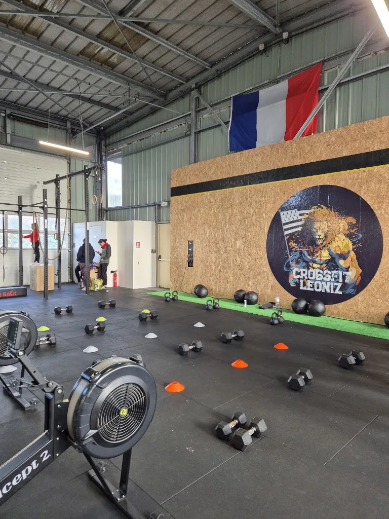 CrossFit Hormesis - photo 1