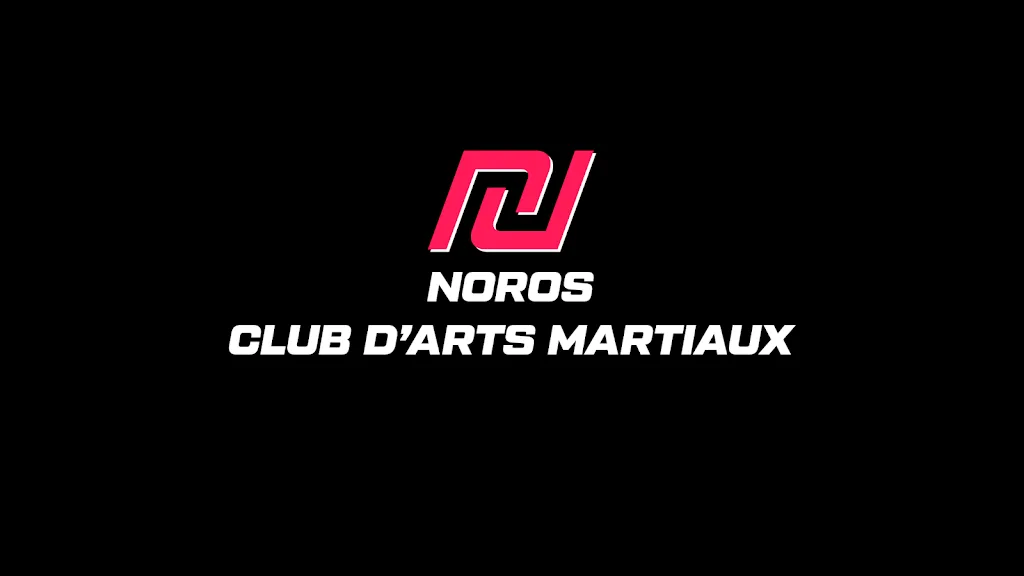 NOROS - Bègles - photo 2