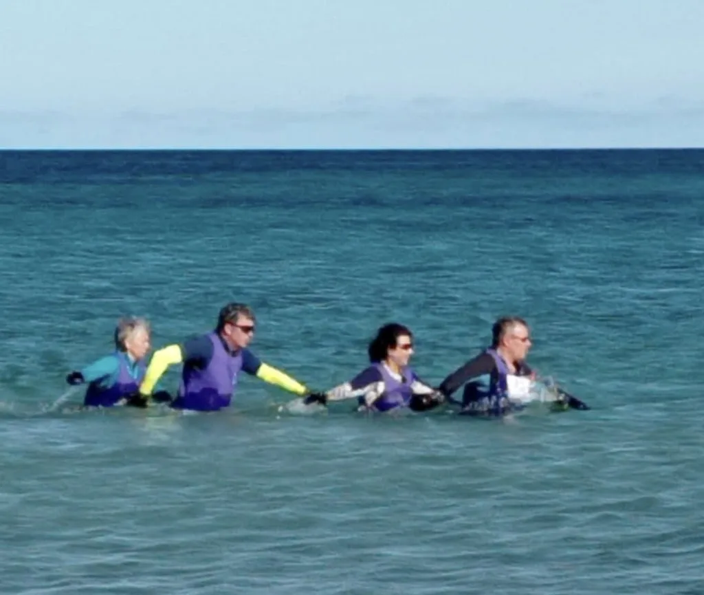 Longe Côte Lège Cap Ferret - photo 2