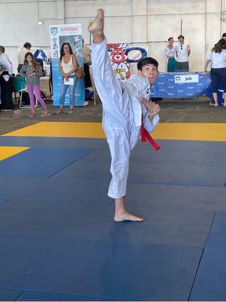 ECOLE DE TAEKWONDO BAGNOLS EN FORET - photo 3