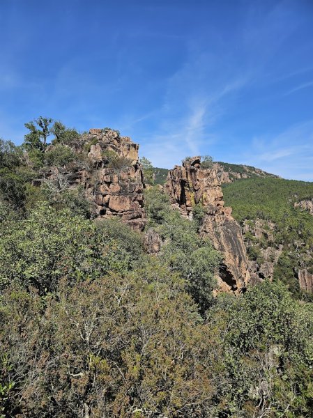 Bagnols en-forêt Var judo - photo 1