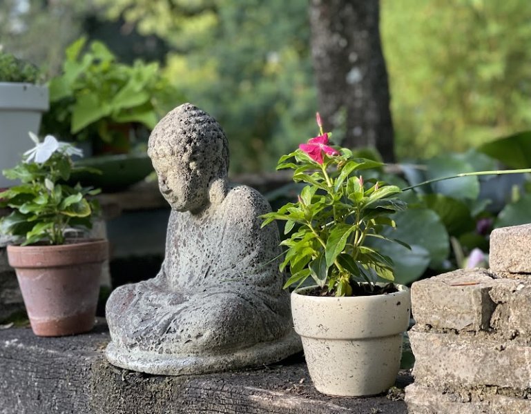 100% YOGA - Seillans - photo 3