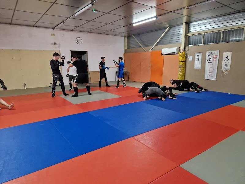 MMA SYSTÈME DÉFENSE - photo 3