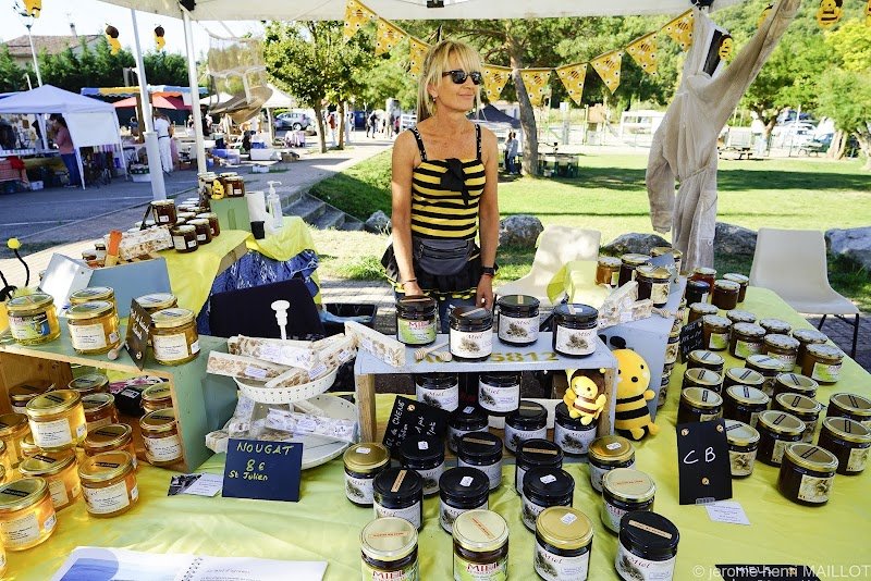 Salle des Fêtes de Saint Julien le Montagnier