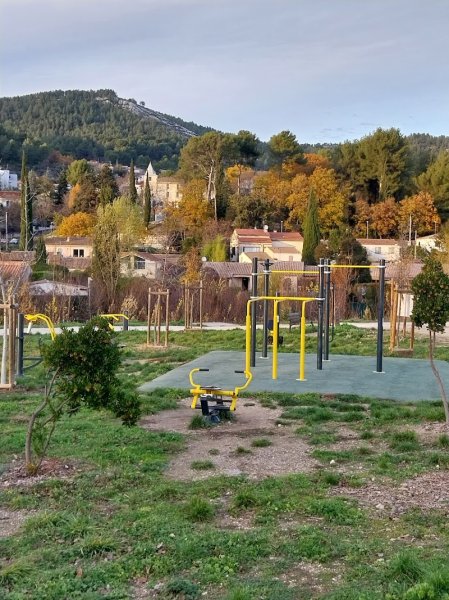 Park calisthenics street workout