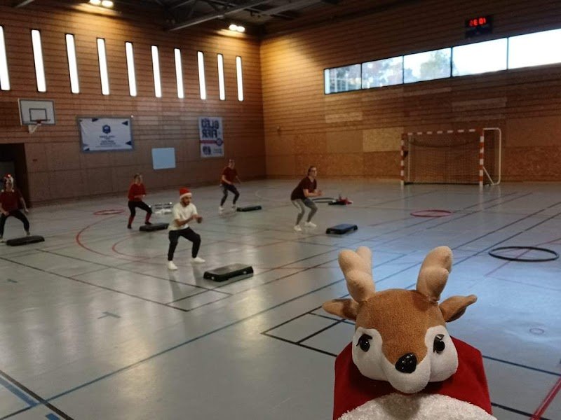 Association Roc'Gym - photo 2