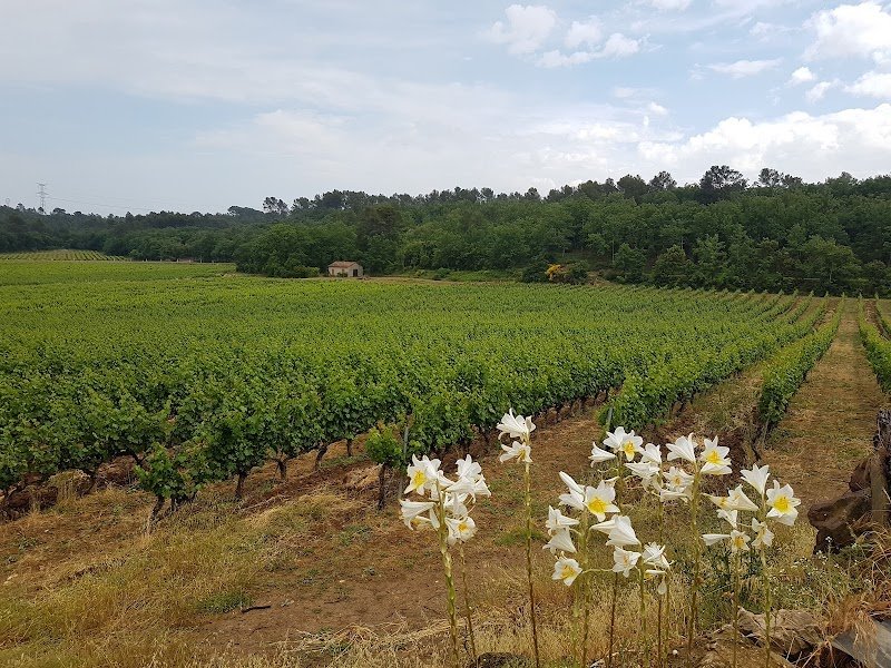 Adeline STEIGER, Kinésiologue , animatrice Brain Gym - photo 2