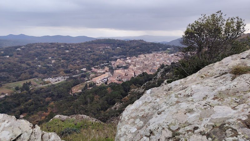 ARBRE INTERIEUR YOGA LA GARDE-FREINET