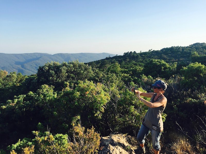 ARBRE INTERIEUR YOGA LA GARDE-FREINET - photo 2