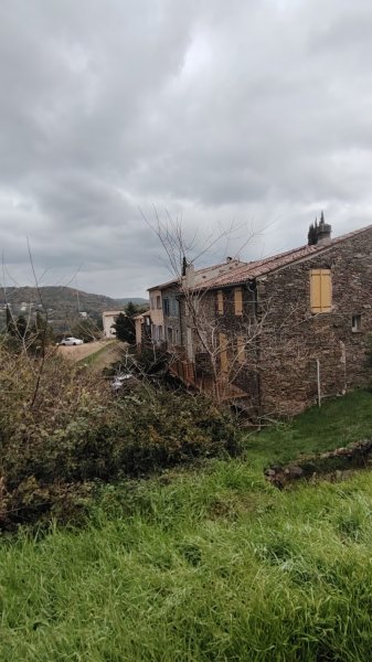 ARBRE INTERIEUR YOGA LA GARDE-FREINET - photo 3